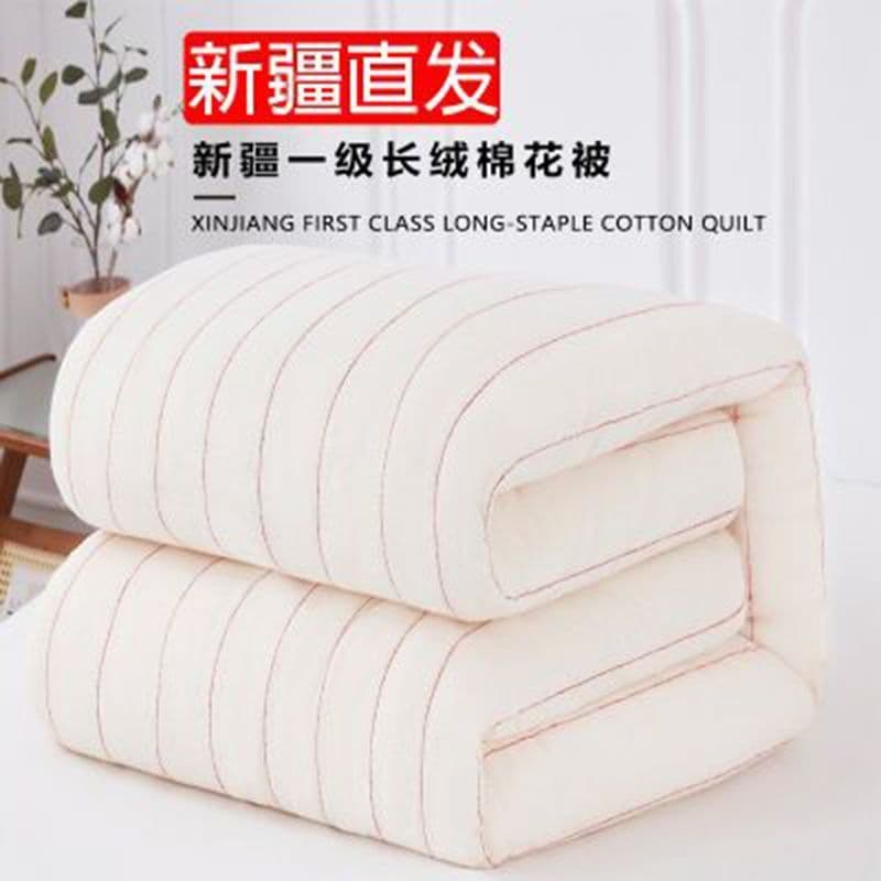 Cotton quilt, floral quilt, thickened and warm winter quilt, spring and autumn quilt, student mattress pad, quilt, wholesale for export