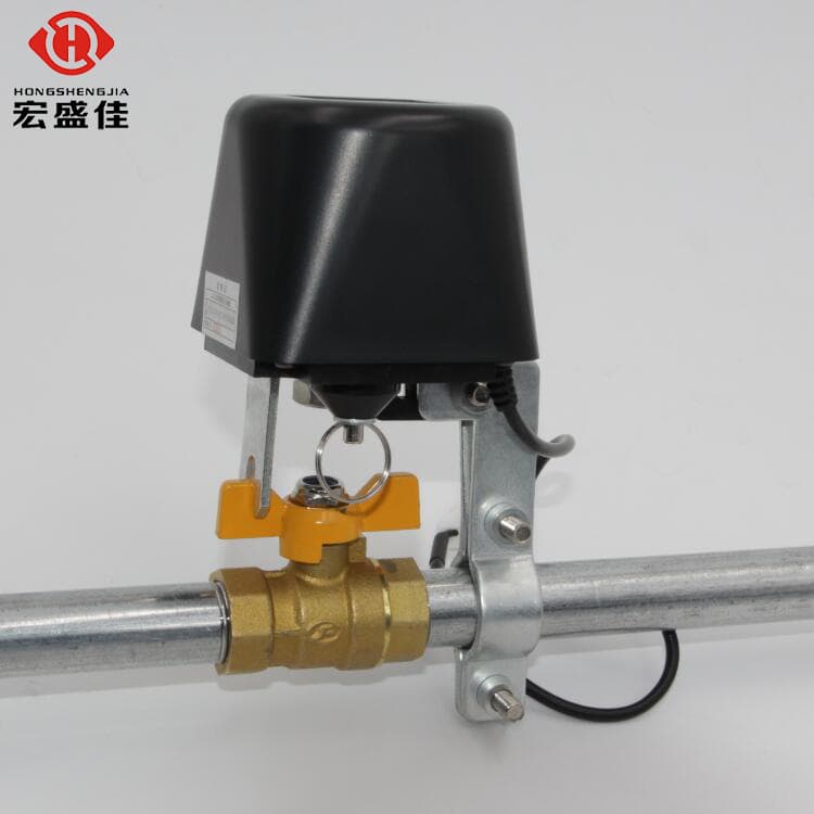 SS2015 Robotic Arm / Gas Valve