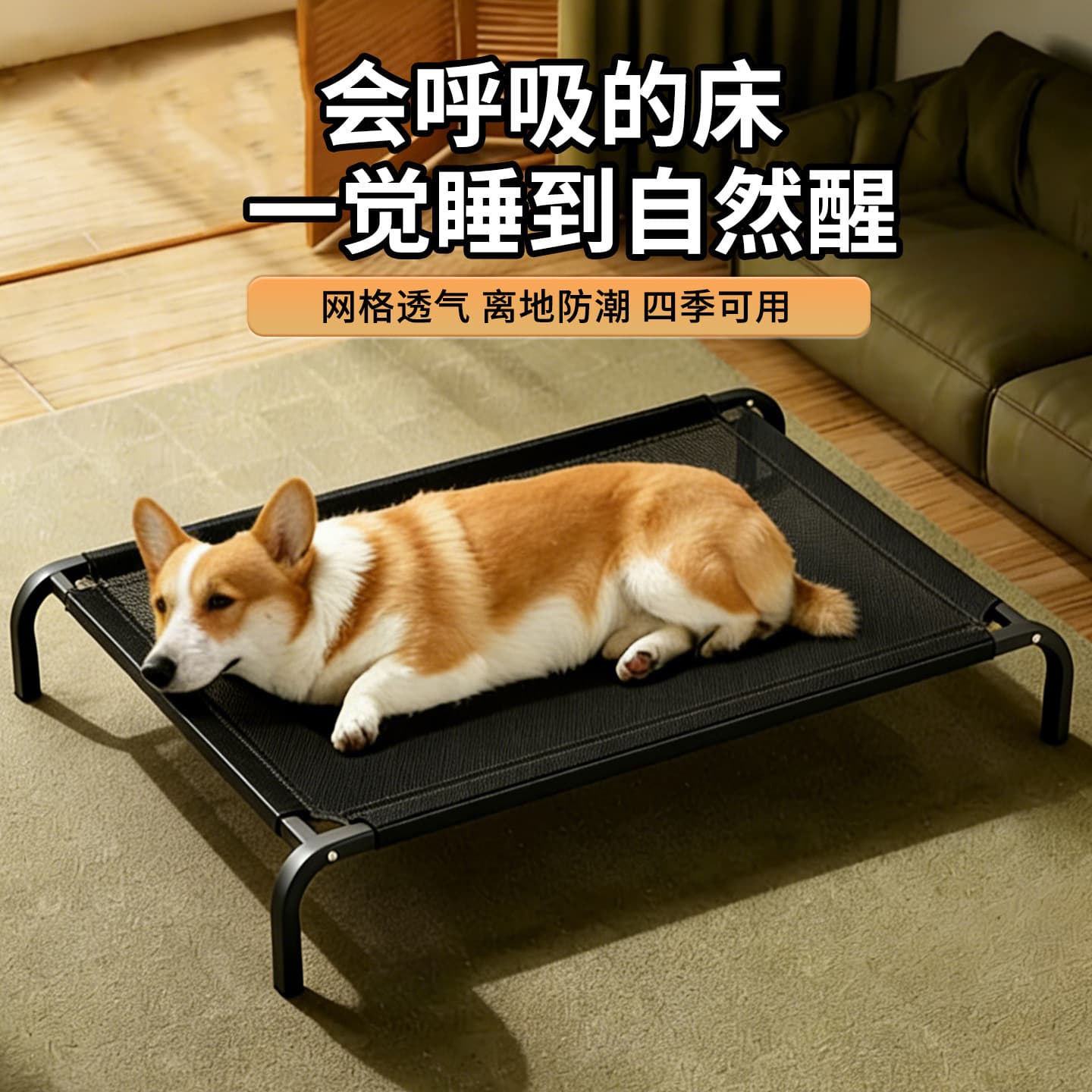 Pet Camping Cot Four-Season Universal Cat Bed Dog Bed Washable Raised Pet Bed Anti-Moisture Large Dog Pet Mattress