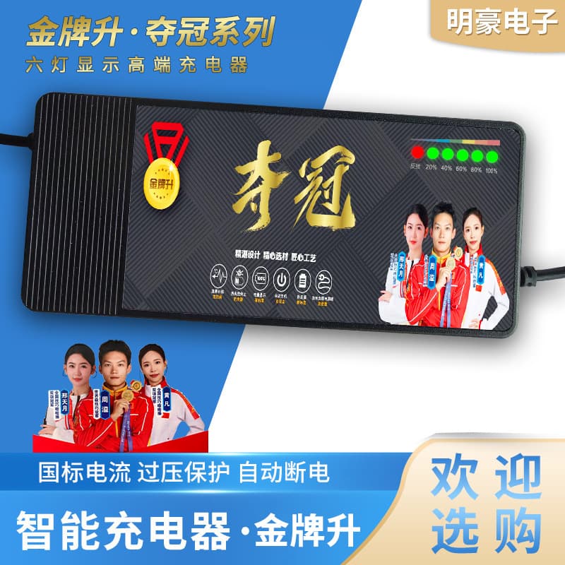Battery Car Charger Gold Medal Upper 6 Light Charger Quality Assurance Large Quantity Discount Lead-Acid Electric Vehicle Charger