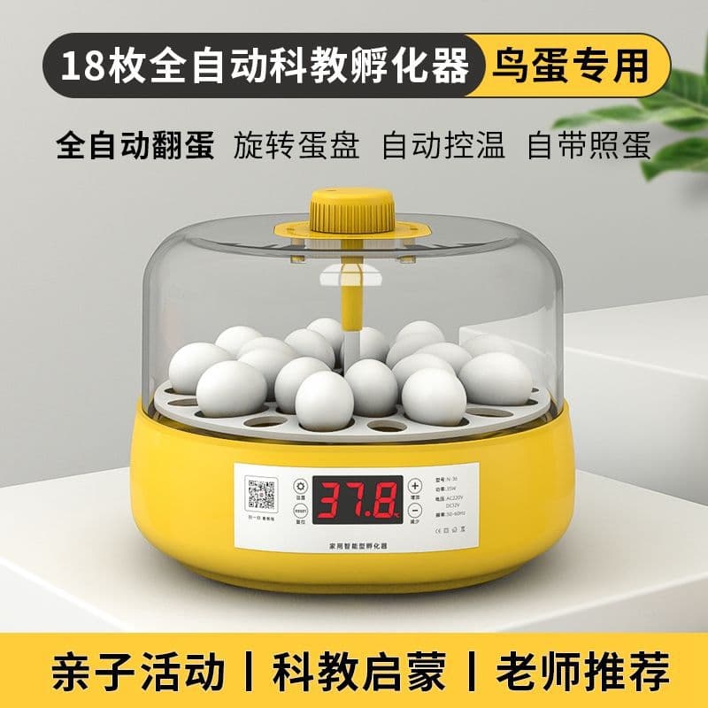Small Household Fully Automatic Egg Incubator for Quail and Chickens, Incubation Machine, Incubation Box