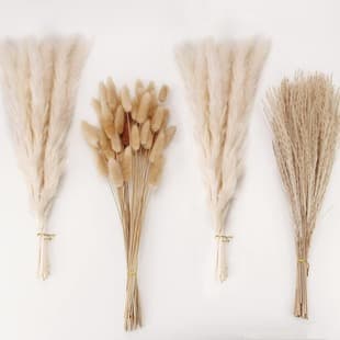 Amazon Hot Selling Dusting Reeds, Dried Flower Bouquet, Photo Prop, Decorative Ornament, Home Decoration, Real Dried Flowers