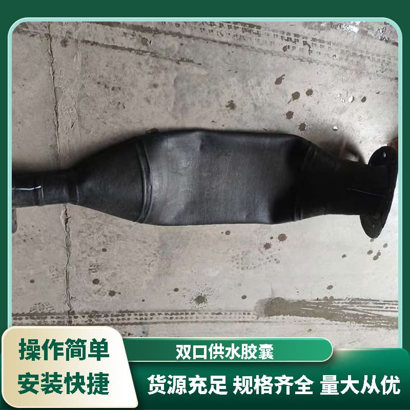 Walrus brand stainless steel air bag water supply capsule EPDM fire pressure tank air bag single and double ports