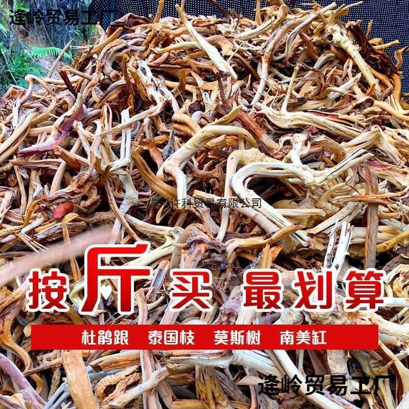 Driftwood Branches, Rhododendron Roots, Aquarium Terrarium Rainforest Tank Tree Root Hardscape Micro Landscape Material Factory