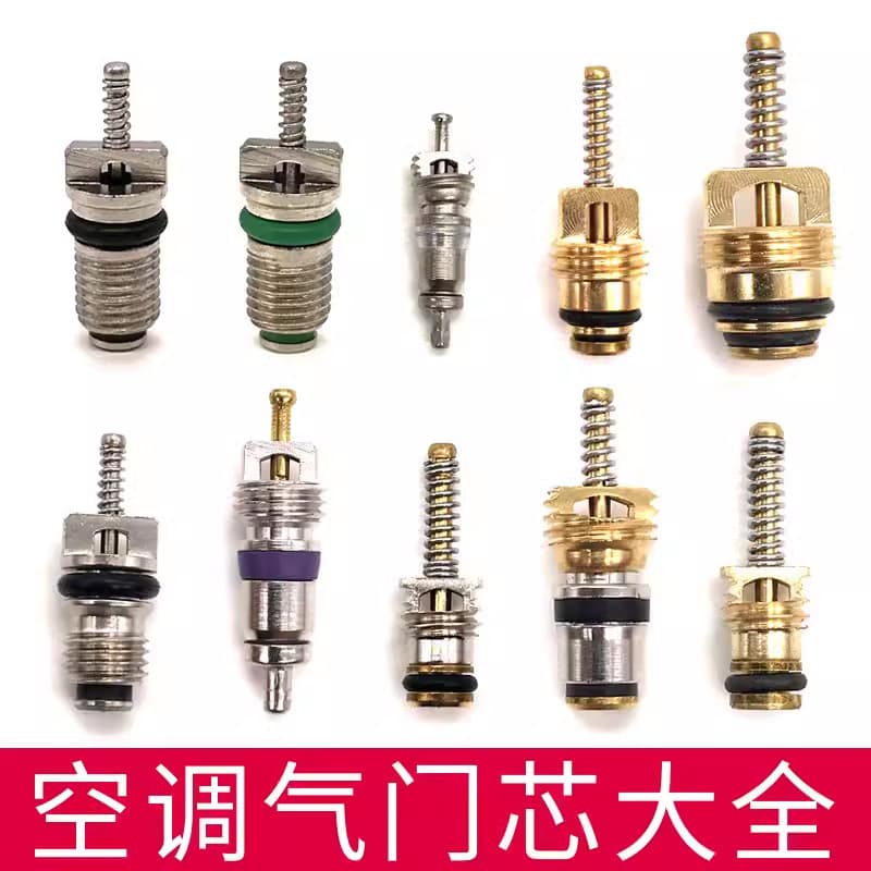 Car AC Valve Core 134a for Mercedes-Benz, BMW, Jetta, Hyundai, Fukang, R12 Size, Buick Wrench Seal Ring