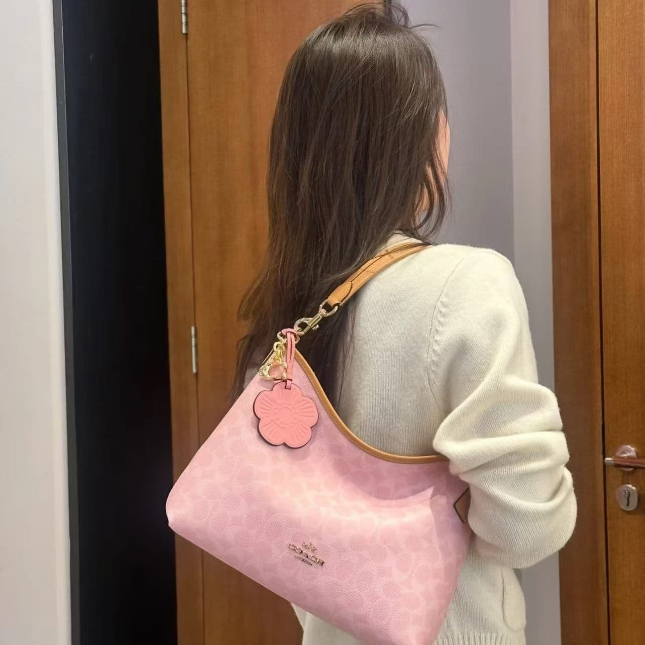 Cross-border C Pink Limited Edition Monogram Crossbody Bag for Women New Chain Handbag Light Luxury Versatile Niche Women's Bag
