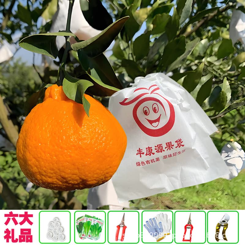 Orange Red Mei'ai Ehime Tangerine Bag Citrus Ugly Tangerine Shimohuo Wogan Paper Bag Navel Orange Rain Protection Bird and Bee Proof Cover Bag
