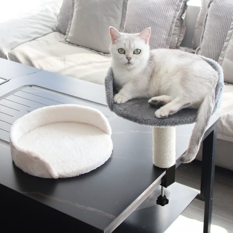 Amazon Cat Climbing Frame Cat Bed Floating Cat Bed Clip-On Desk Cat Climbing Frame Cat Supplies