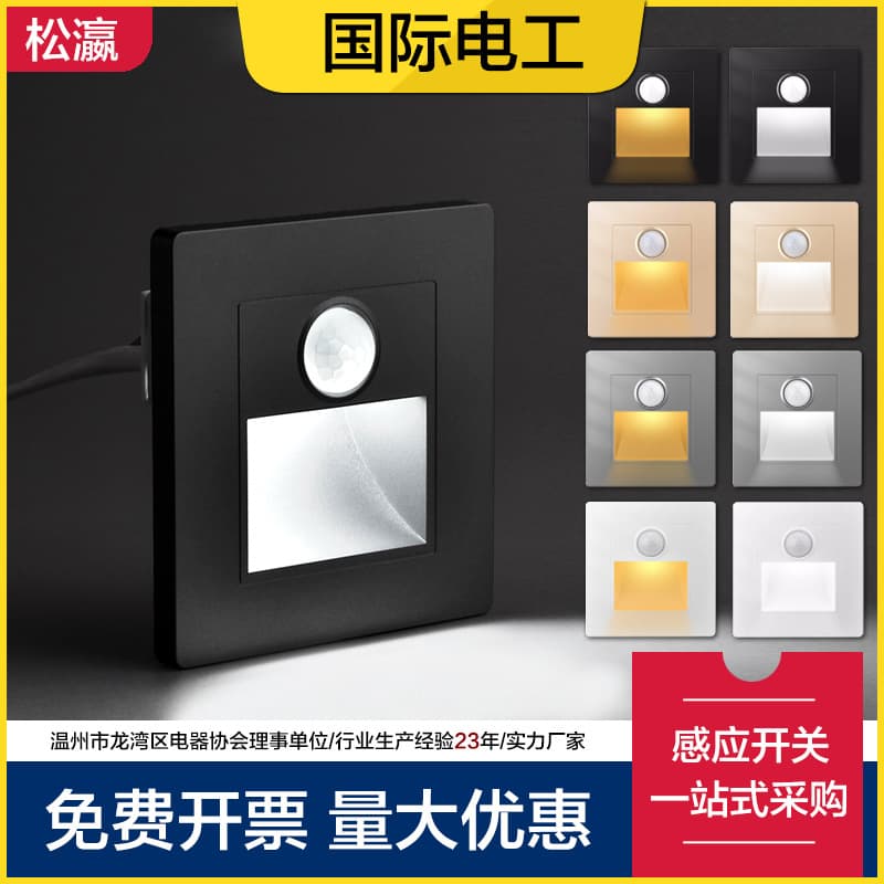 Songying 86-Type Human Sensor Baseboard LED Night Light, Embedded Light-Sensing Smart Switch for Hallway Stairs
