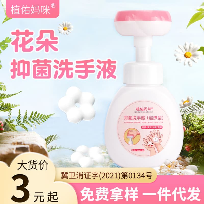 Shuiqingting Antibacterial Hand Soap Bulk Supply, Manufacturer Wholesale 300ml Press Bottle Home Use Flower Design Foam Hand Soap