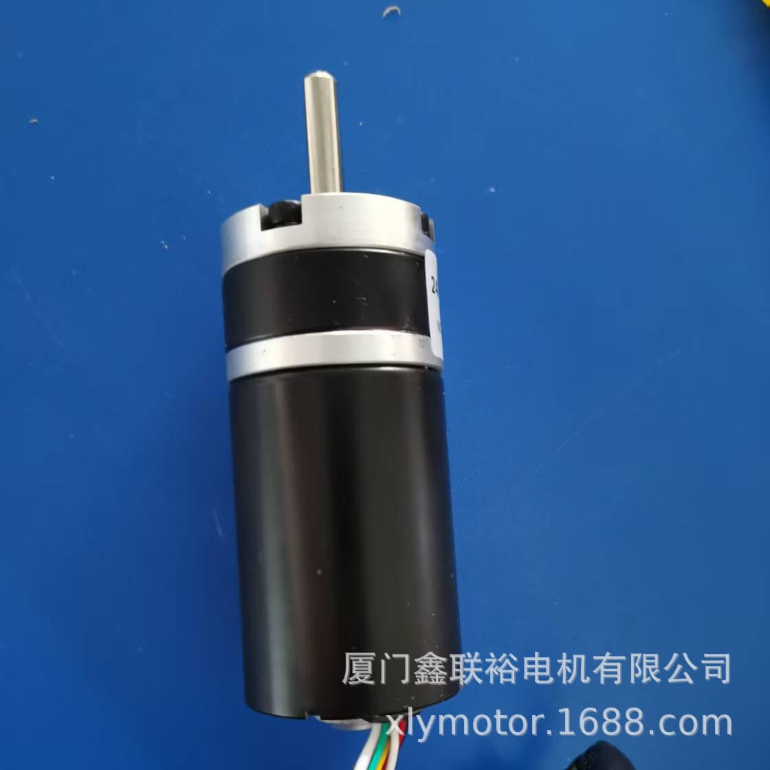 Factory Direct Micro DC Reduction Motor 24V Motor Low Speed Small Motor High Torque