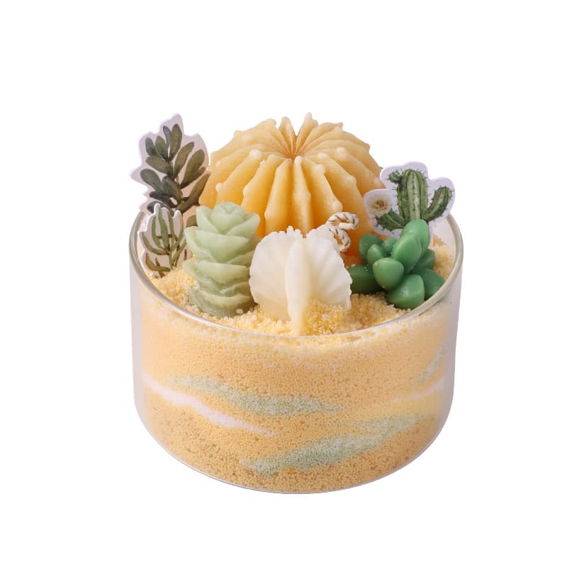 DIY Scented Candle Succulent Aromatherapy Indoor Plant Cactus Sand Painting Handmade Tutorial Souvenir Salon Gift