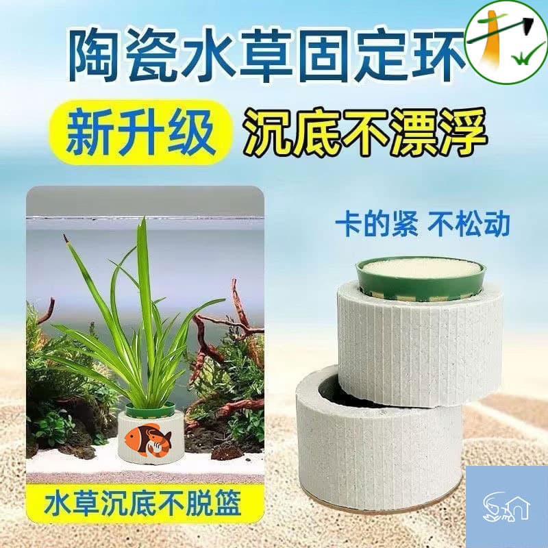 New Aquatic Plant Fixing Ring Three-Piece Set: Ceramic Ring, Planting Cotton, Planting Basket, Fixing Ring, Fish Tank Sink Ring