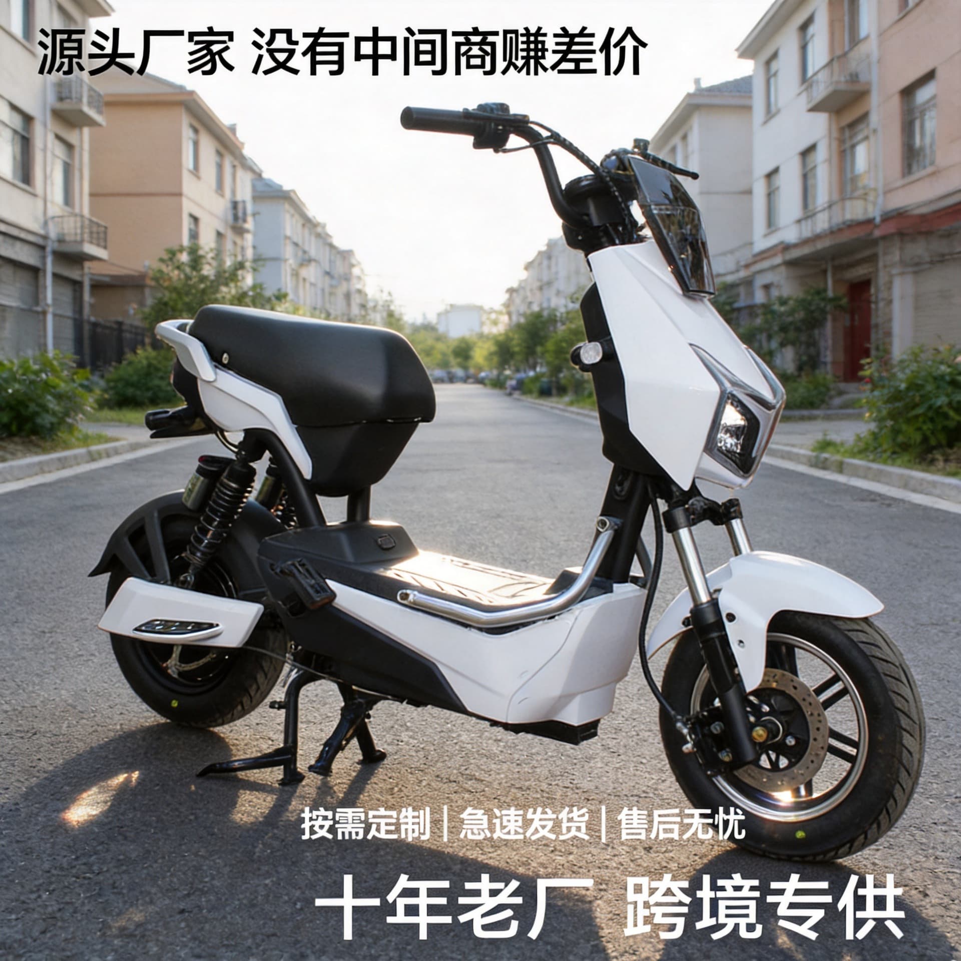 Electric Bike Frame - Electric Bike Without Battery