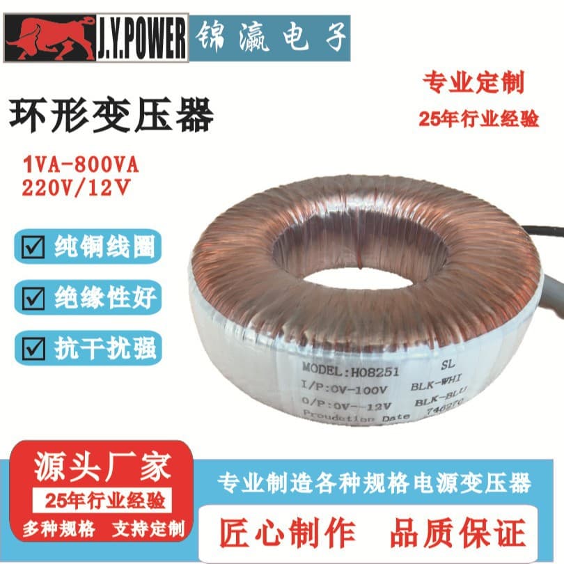 Toroidal Transformer 100V/12V Custom, Audio, Power Supply Factory Direct Silent Low-Frequency
