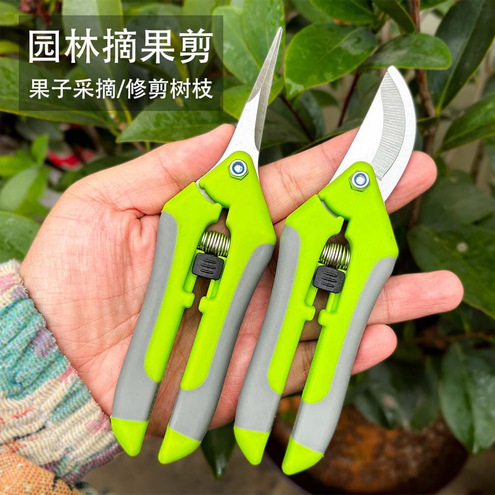 Gardening shears, pruning shears, fruit and vegetable pruning shears, tree branches, grape picking shears, garden tools, fruit picking stock available.