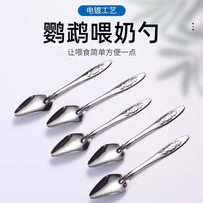 Stainless Steel Spoon Parrot Feeding Tool Hand-Feeding MyNA Cockatiel BB Chick Baby Bird Formula Feeding Spoon Factory Direct