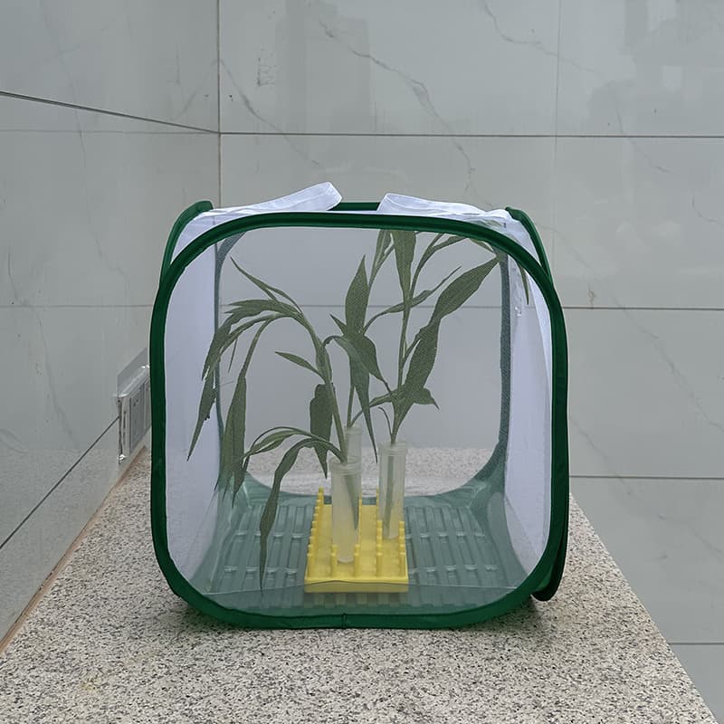 VALUE PACK Manufacturer's Self-Developed and Self-Made Insect Breeding Cage, Feces Cleaning Box, Water-Retaining Pipe Set, and Special Offer Combo