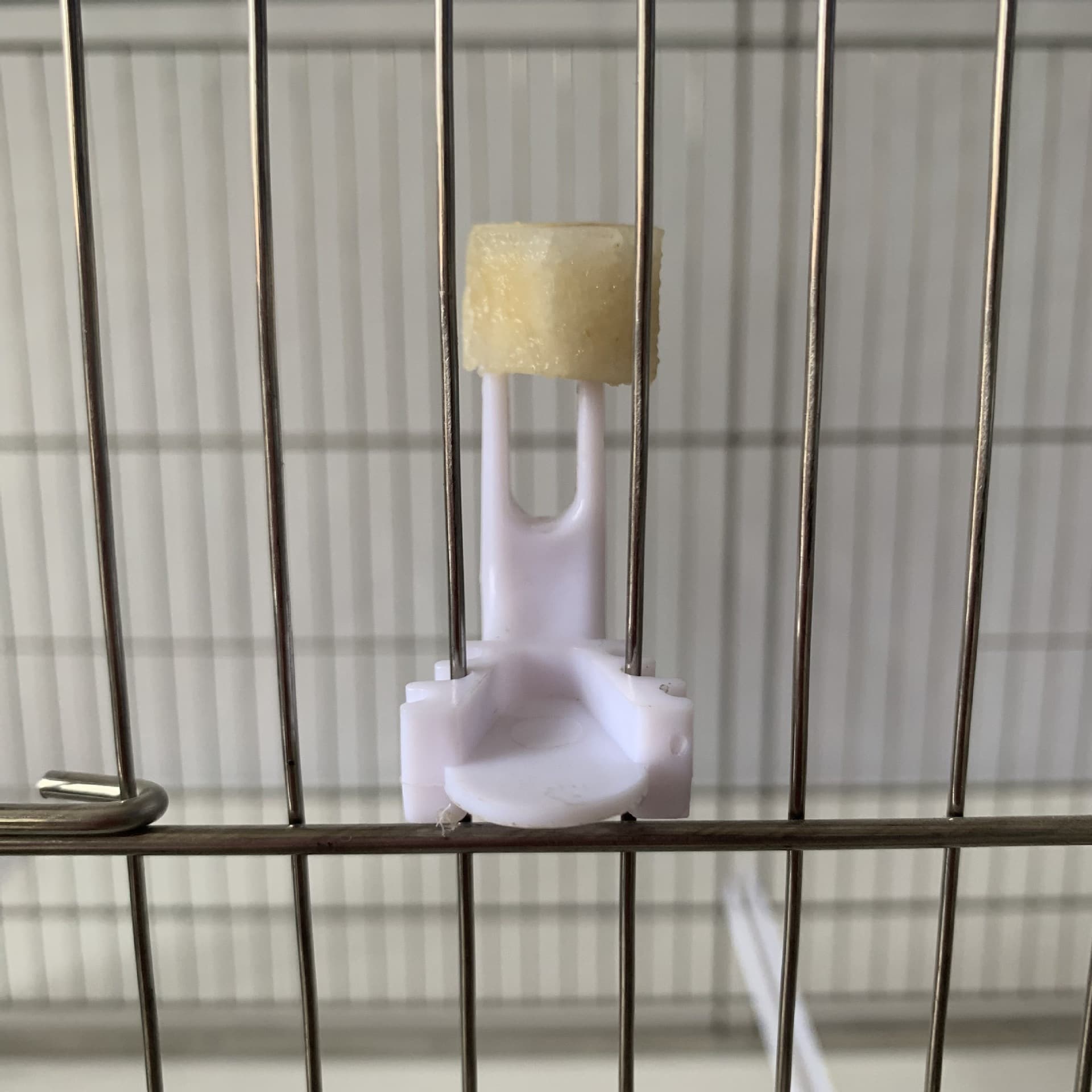 Feather Nest Bird Fruit Fork Plastic Bird Fruit Feeder Small Bird Vegetable Fork Canary Finch Parrot Supplies