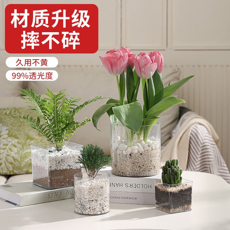 Desktop Hydroponic Square Planter Acrylic Green Pothos Water Cultivation Plant Square Tank Creative Transparent Vase Succulent Pot