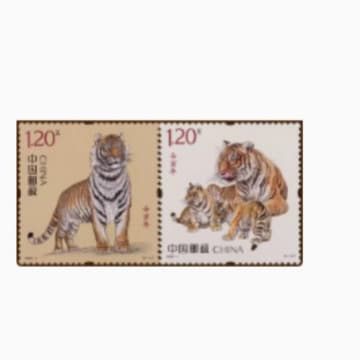 2022-1 Year of the Tiger Zodiac Stamps "Ren Yin Year" Four Zodiac Tiger Stamps with Fluorescence