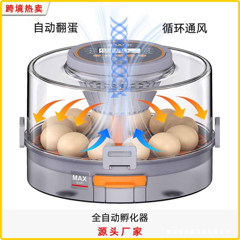 Smart Constant Temperature 20-Egg Incubator Automatic Egg Turner Small Home Chicken Duck Goose Hatchery Manufacturer