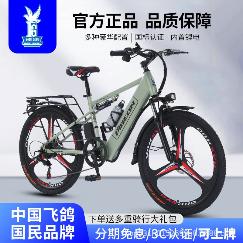 Feige Electric Assist Bicycle Lithium Battery Mountain Bike Long Range Electric Bike for Adults