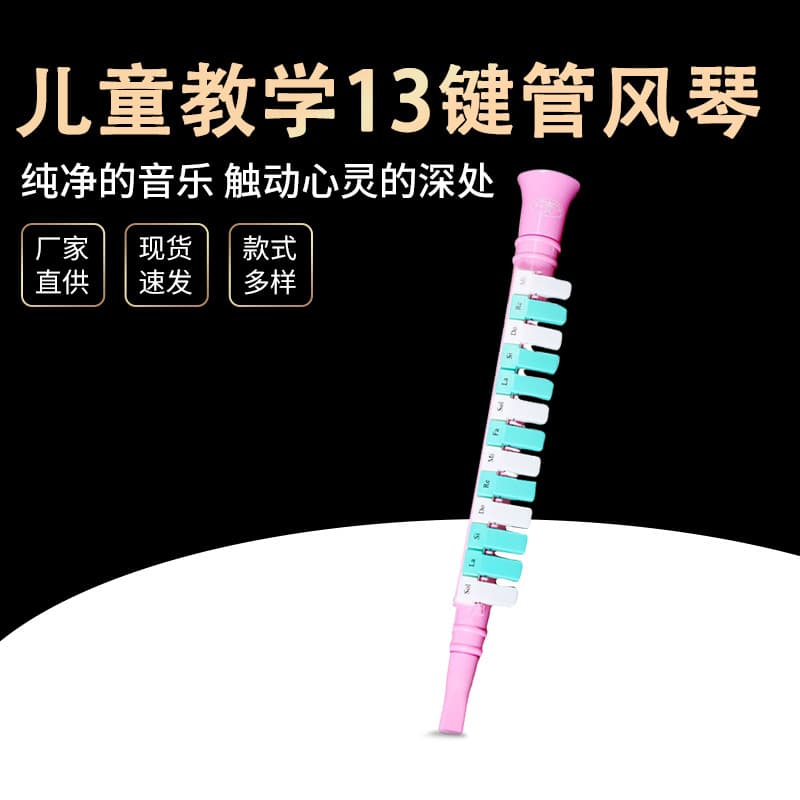 Children's Educational 13-Key Organ Toy Musical Instrument Color Box Packaging School Teaching Gift Supermarket Export