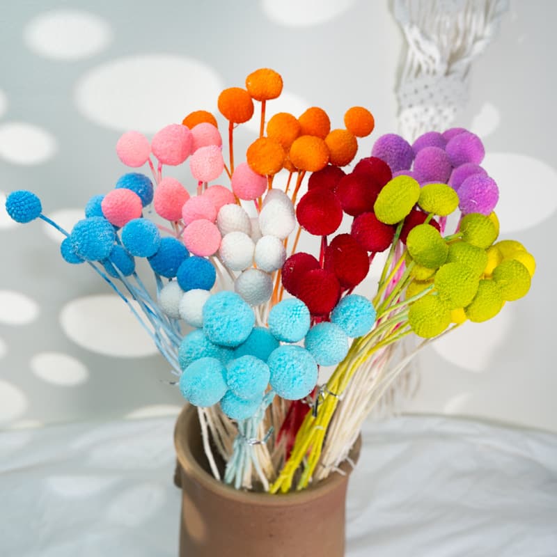 Everlasting flower golden mallet flower golden ball bleached gold ball bouquet dried flower preserved flower diy flower material home decoration