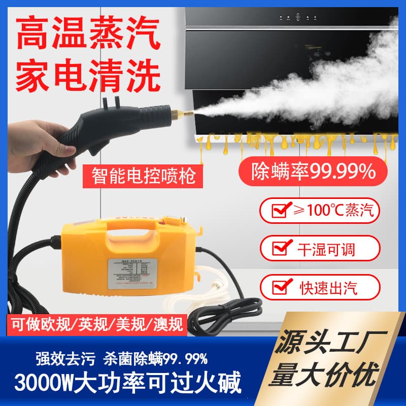 High-Temperature Handheld Steam Cleaner Multi-function Air Conditioner Range Hood Appliance Stain Removal Cleaning Equipment Retail Wholesale CE