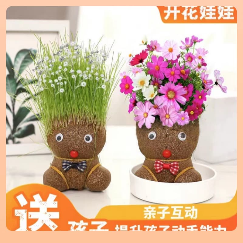 ◘Dolls with grass growing on their heads, grass blooming on their heads, children planting small potted plants, growing grass and green plants, and observing plant growth for young children