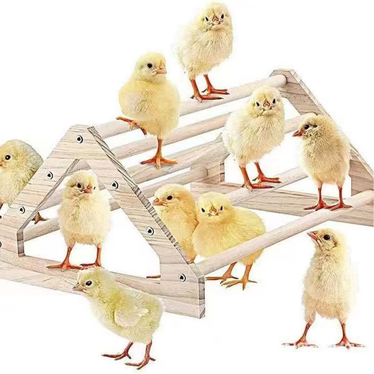 Wholesale wooden chicken cage pet chicken stand quail wooden stand chinchilla cage rutin chicken parrot hamster climbing frame