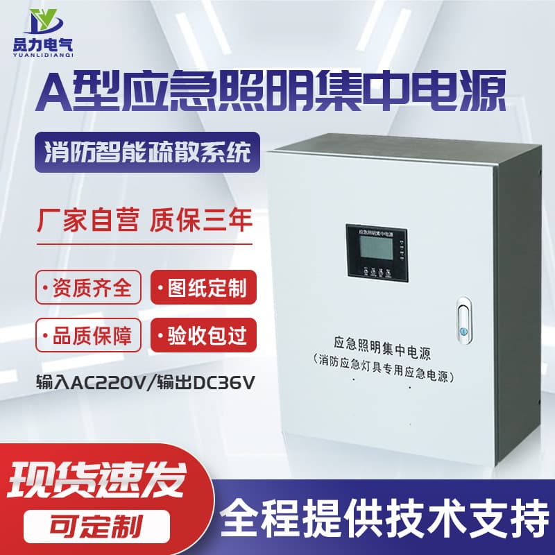 Centralized Emergency Lighting Power Supply 0.3KW 0.6KVA 1KVA 36V 24V Centralized Control Customizable