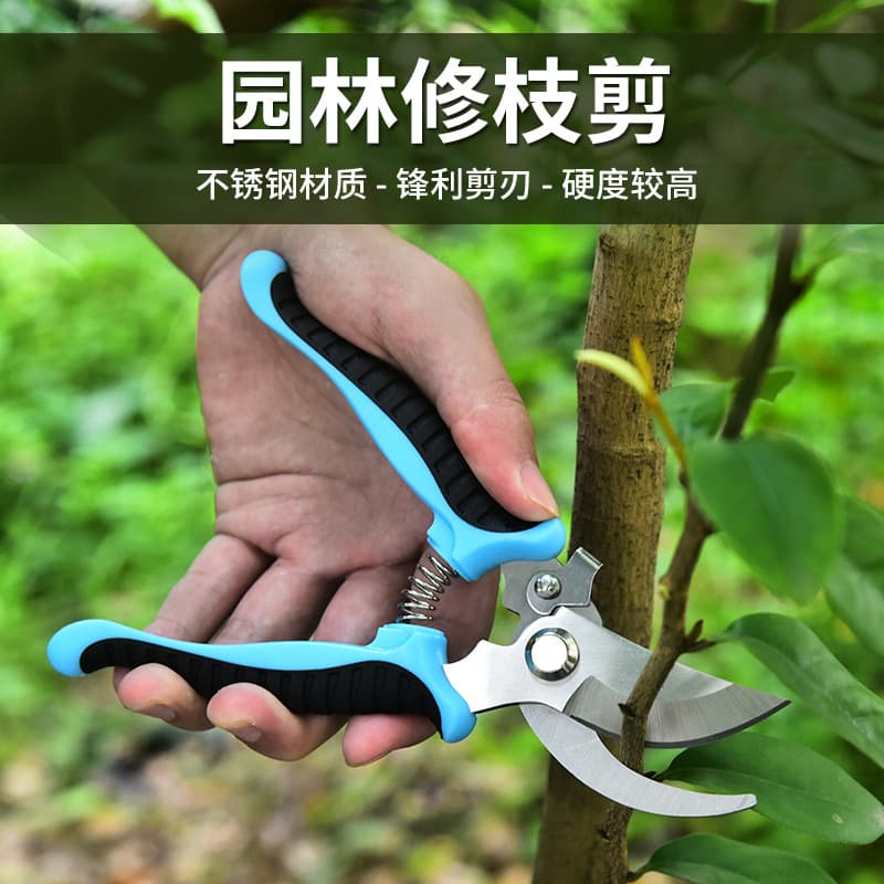 Stainless Steel Pruner Shears for Bonsai Tree Branch Trimming And Grafting Garden Tools Thick Branch Pruner Scissors from Factory