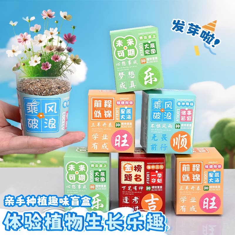 Student Creative Gift Wholesale Plant Indoor Potted Surprise Blind Box Kindergarten Gift Activity Prize Custom