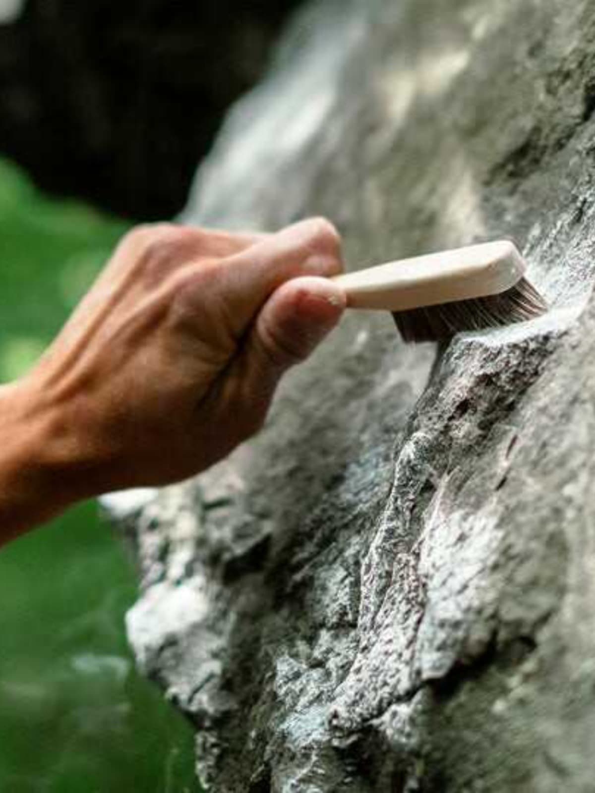 Outdoor climbing professional hold brush made of beech wood with long handle soft bristles portable durable rock wall cleaning brush
