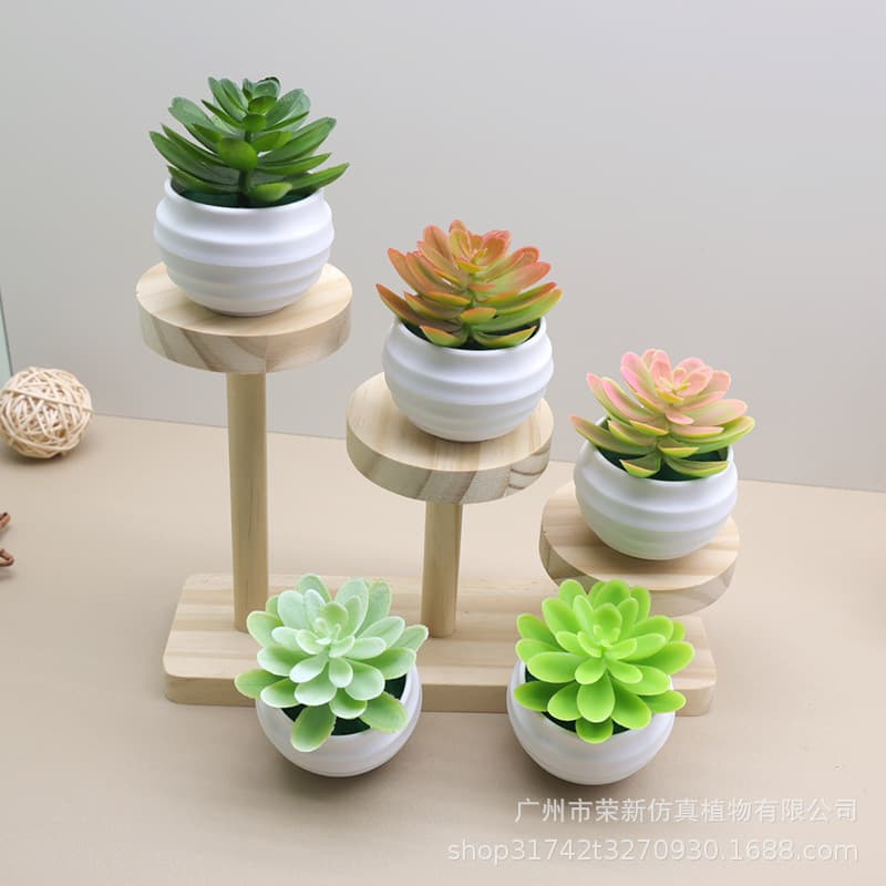 Factory Direct Supply Simulation Succulent Small Potted Plants - Home/Living Room Desktop Artificial Fake Green Plant Decor