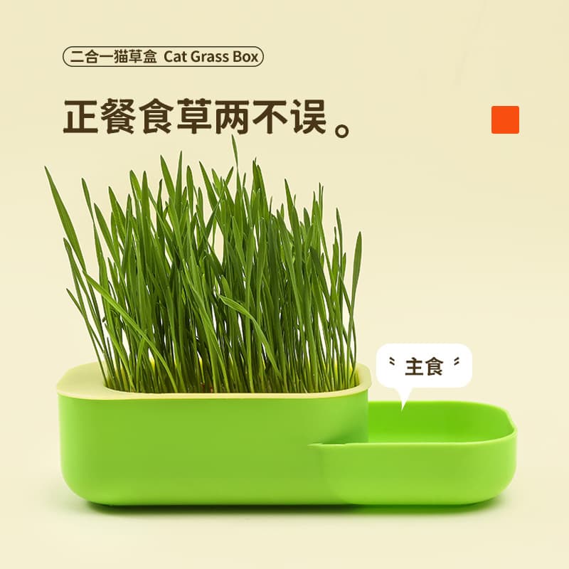 New Cat Grass Box, Cat Snacks, Hydroponic Soilless Planting Cat Grass Pot Set, Helps Cats Digest Cat Snacks, Cat Grass Box