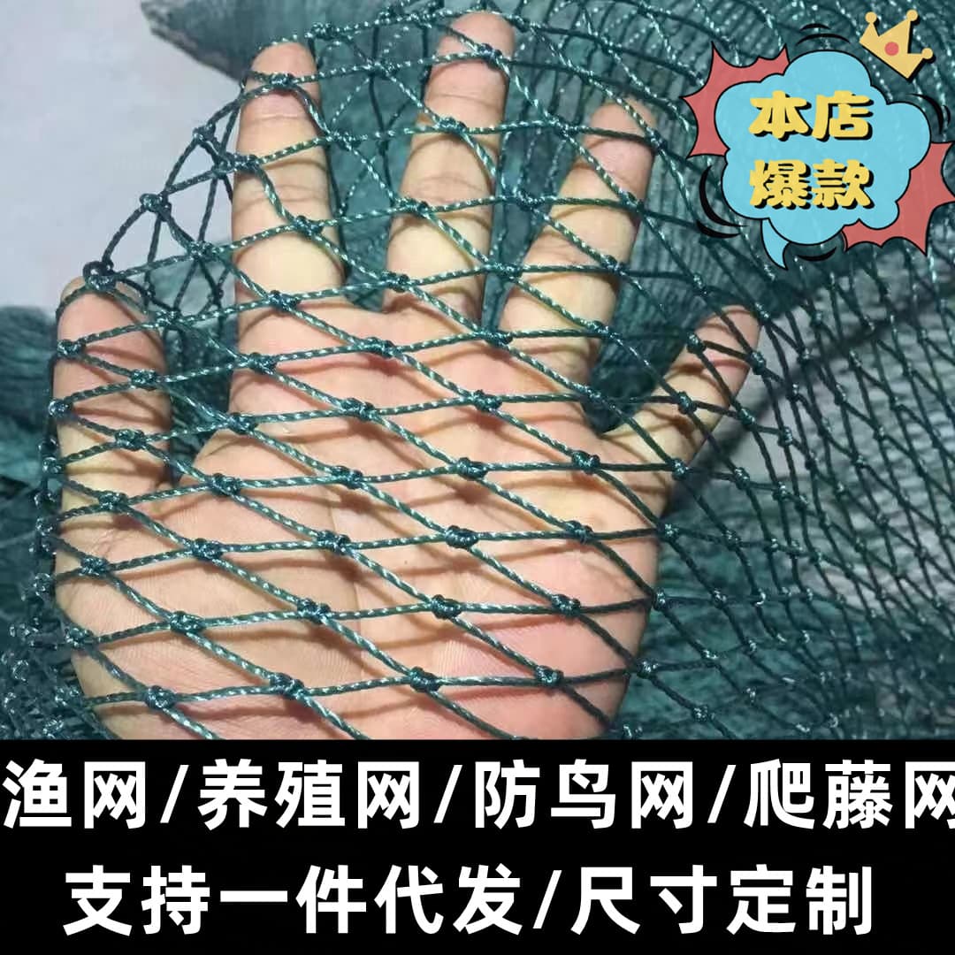 Farming Fishing Net Chicken Net Bird Protection Sky Ceiling Climbing Vine Fish Fence Nylon
