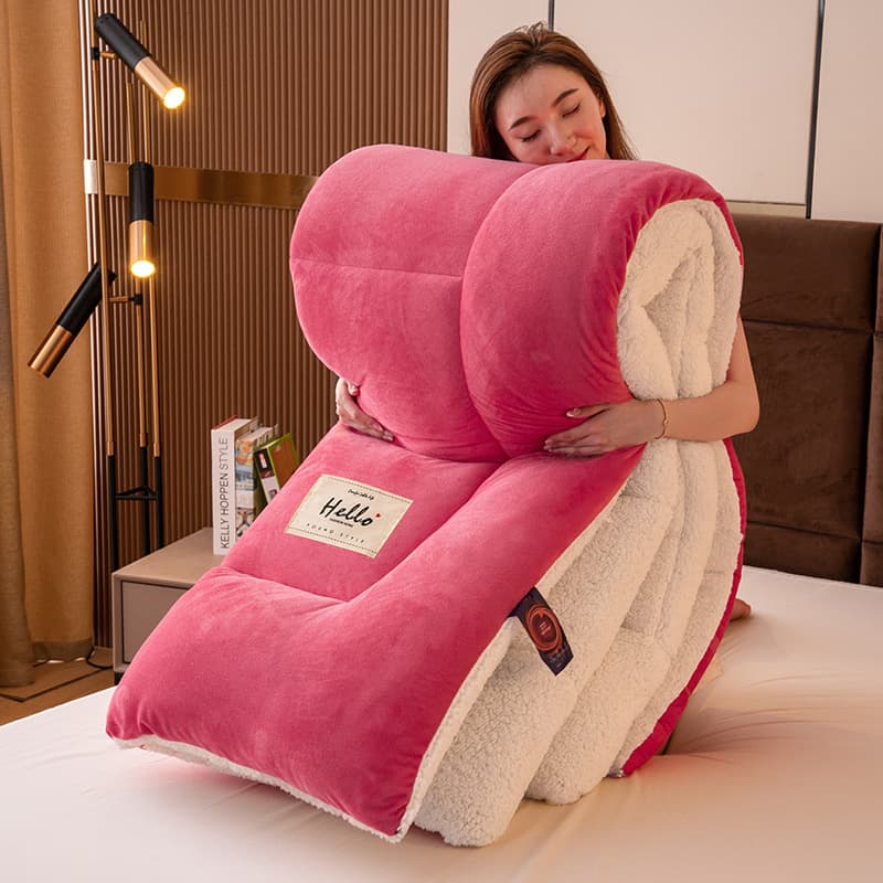 Cross-Border Lamb Fleece Blanket Milk Fleece Duvet Live Stream Drop-Shipping Double-Sided Thick Flannel Student Dorm Bedding