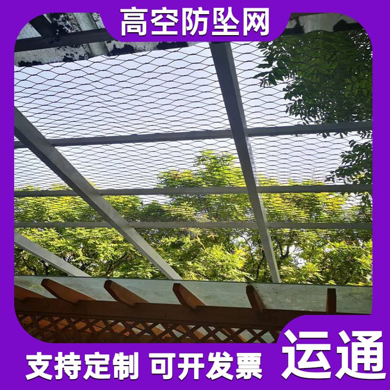 Green Plant Climbing Net Anti-Falling Rock Net Stainless Steel Rope Net Zoo Protection Net Steel Wire Decorative Net High Altitude Fall Prevention Net