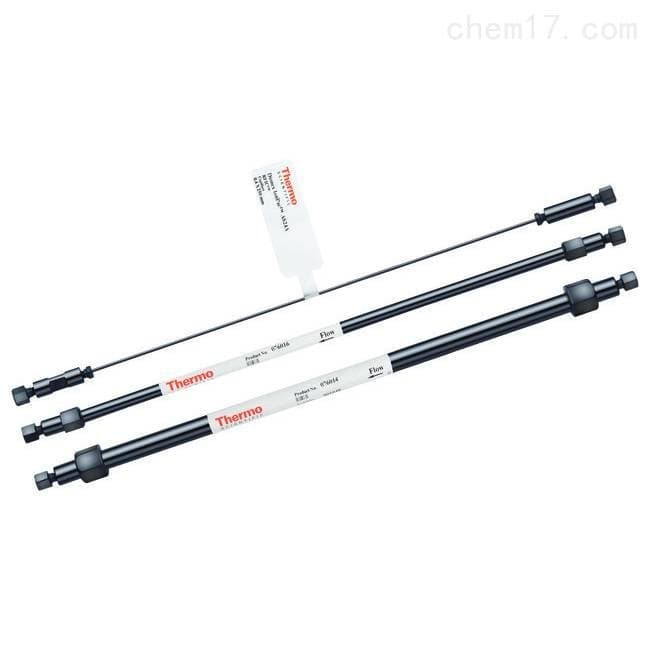 062888 Thermo Fisher Ion Chromatography AS19 IC Column 2*50mm