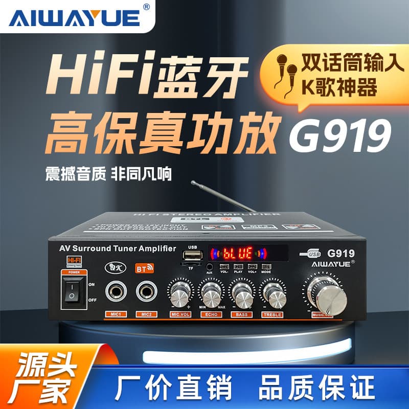G919 Dual Microphone HiFi Bluetooth Audiophile Amplifier with Radio, Card Slot, and Speaker Amplifier All-in-One