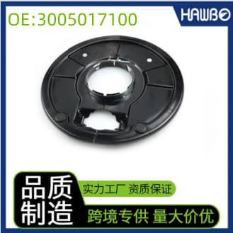 Brake Cover Plate 3005017100 for SAF