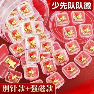 Primary School Young Pioneers Badge Team Emblem School Badge Official Magnet Pioneer Star Badge Zinc Alloy