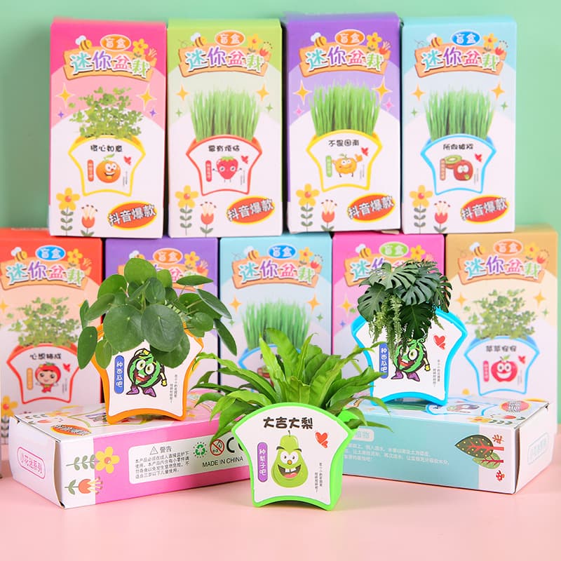 Mini Potted Plant DIY Science Experiment for Kids, Mini Farmer Flower Seeds Gift Blind Box