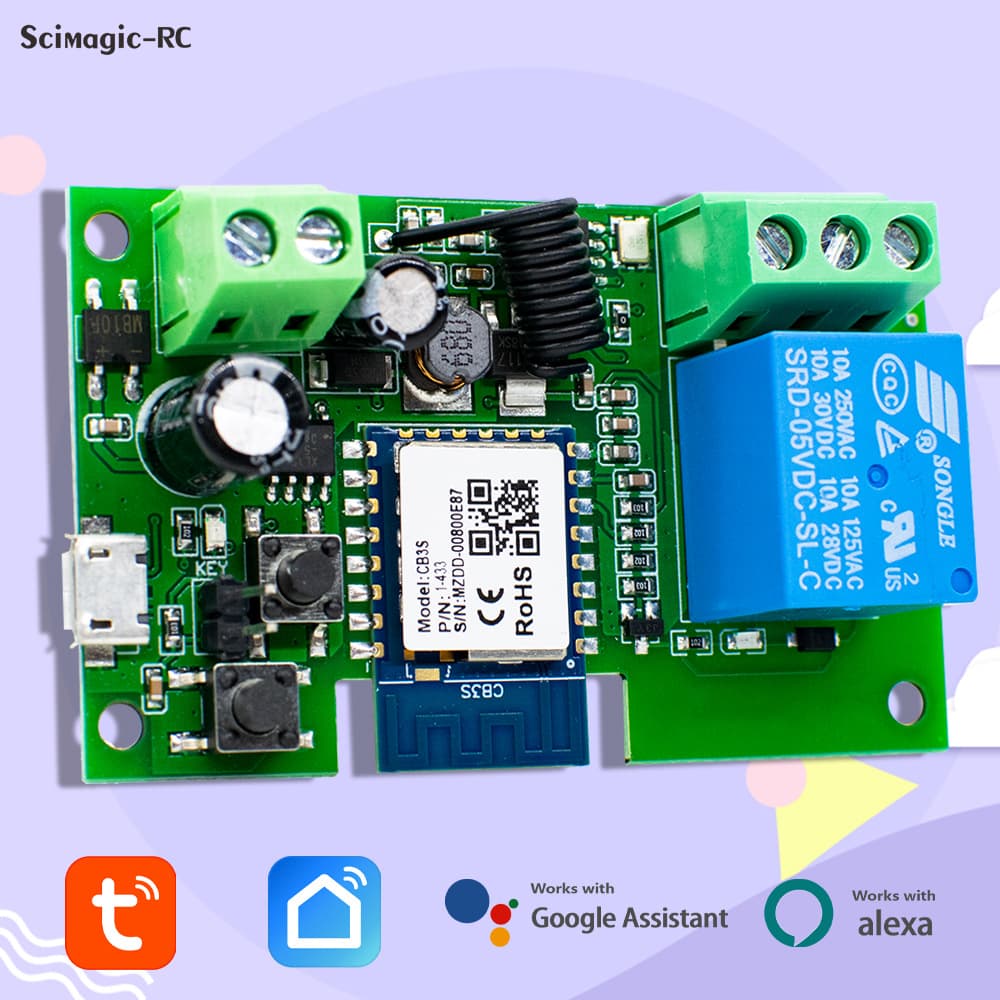 Tuya Smart APP controls 12V/24V smart switch module with timed inching 433 remote control switch Alexa