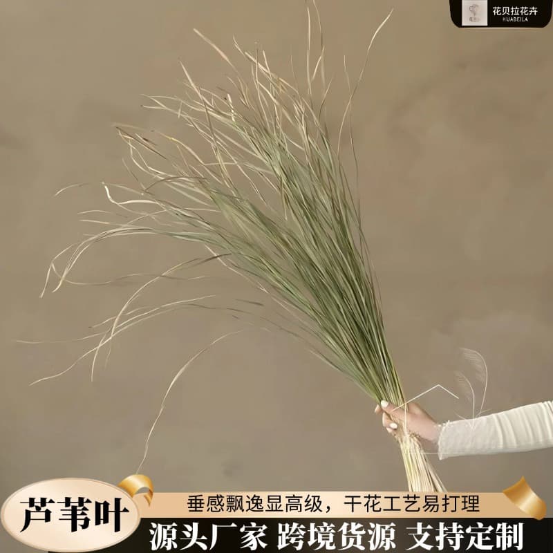 Natural Reed Leaf Dried Flowers Hanging Type Floor Flower Decoration Reed Grass Dried Flower Arrangement Wabi-Sabi Style Grass Flower