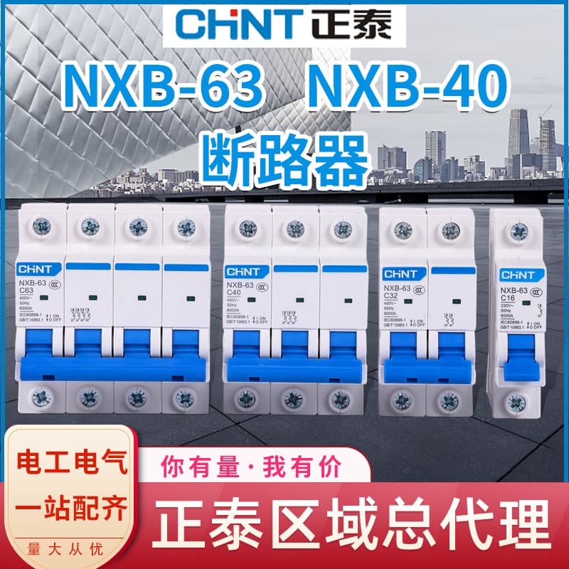 Circuit Breaker Air Switch Air Switch Plastic Shell Nxb Series Low Voltage Electrical Appliance Wholesale Small Circuit Breaker Switch Chint