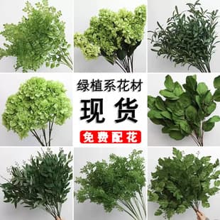 Green Artificial Flowers Simulation Greenery Wedding Fake Flowers Wholesale Flower Arrangement Wedding Scene Decoration Green Leaves Forest Style Silk Flowers Grass